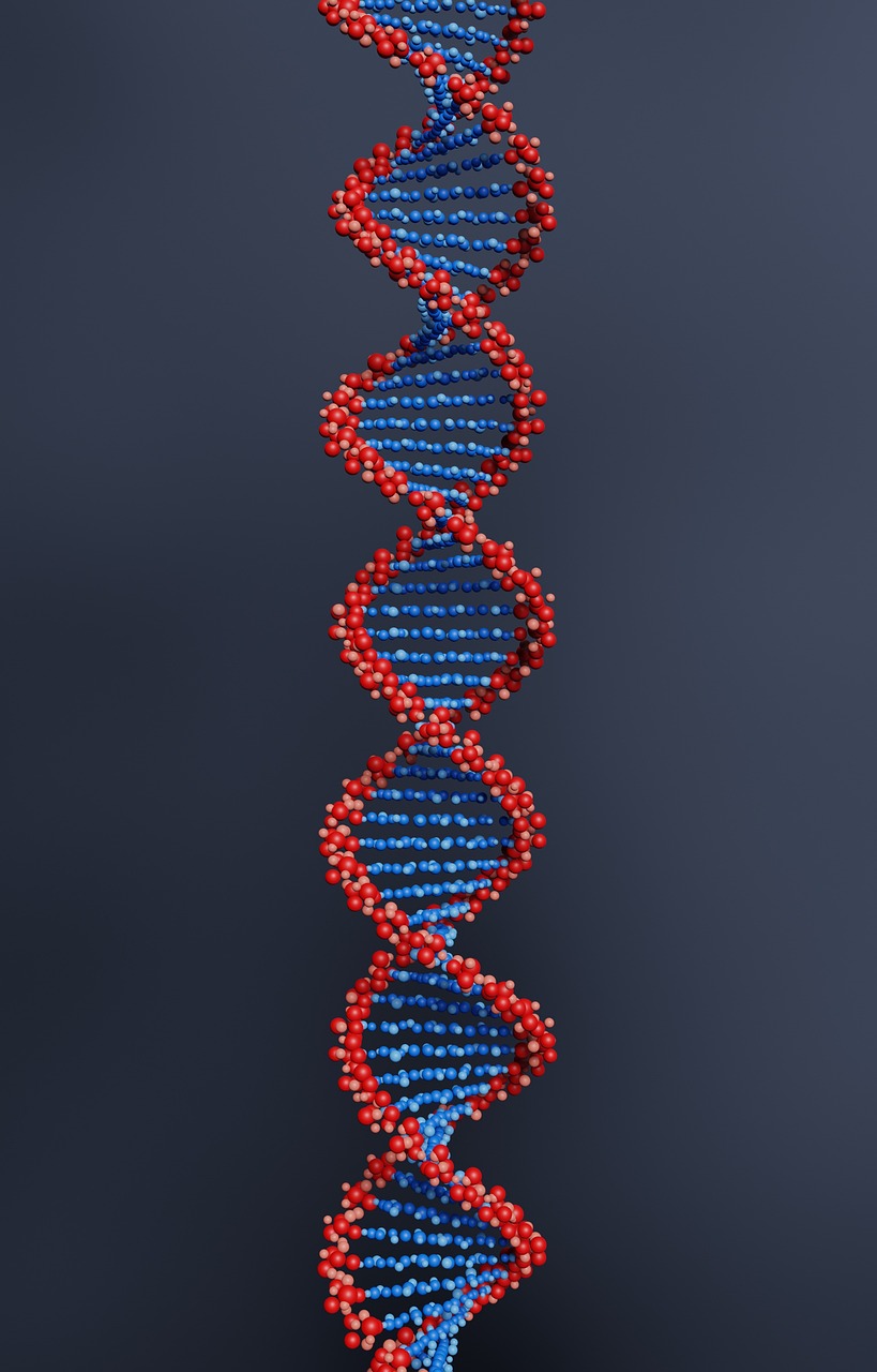 gene-6527964_1280 gene-6527964_1280